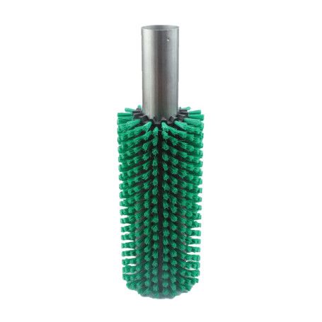 https://www.sammaparts.com/114823-medium_default/cylindrical-fruit-and-vegetable-brush-with-green-pexcrine-bristles.jpg