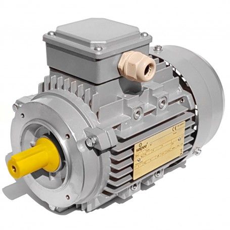 Electric motor Three phase 0.55 kW 0.75 HP 2800 rpm B14 MEC 71 230 400v Seipee Electric Motors - 1