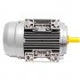 Motore elettrico Trifase 0.18 kW 0.25 HP 1400 giri B3 MEC 63 230 400v Seipee Electric Motors - 11