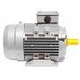 Elektromotor Dreiphasig 7.5 kW   1400 rpm B3 MEC 132 400v Seipee Electric Motors - 9